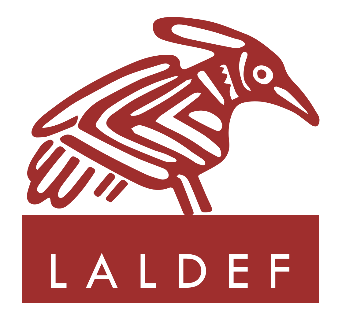 Community ID Cards LALDEF