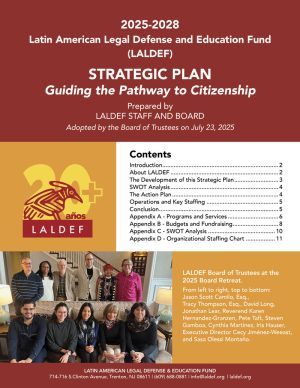 LALDEF Strategic Plan 2025